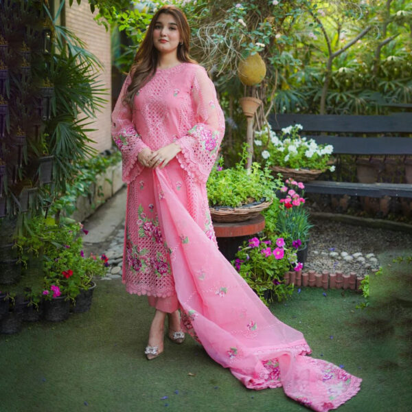 Premium Organza Chikan Kari Dress