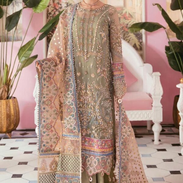 Luxury Embroidered Organza Suit